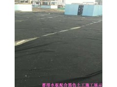 工程种植地下室顶板专用排水板|屋顶20厚塑料排水板批发价格图2