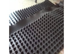 鹤壁直发镂空型楼顶绿化蓄排水板|2公分高屋顶防护疏水排水板图1