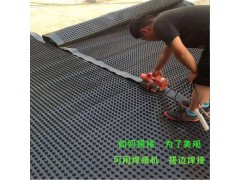 河南车库地下室屋顶绿化凹凸阻根PE滤水板厂家|20高排水板图2