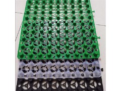 河南车库地下室屋顶绿化凹凸阻根PE滤水板厂家|20高排水板图3