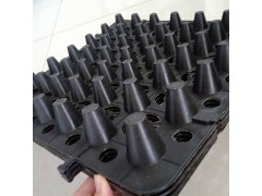 河南广场绿化种菜阻根疏水板|车库顶板用疏水板2公分图1