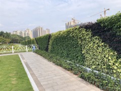 这样一家有实力的市政围挡厂家你们还要错过吗图1