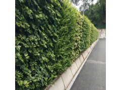 三田绿植施工围挡按需定制更贴合场景使用要求图1