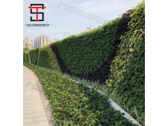 三田绿植施工围挡按需定制更贴合场景使用要求图3