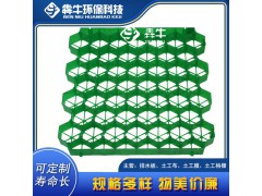 北海市消防通道塑料植草砖图3