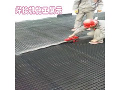 河南800克卷材H20高塑料排水板 用屋顶楼顶种植绿化滤水板图1