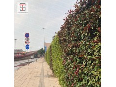 因改变而实用的三田实业垂直绿植围挡图1