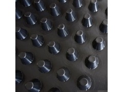 拓林H50高塑料滤水板生产 黑色500*500*30蓄排水板图2