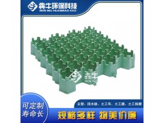 东莞市hdpe园林护坡草坪格图1