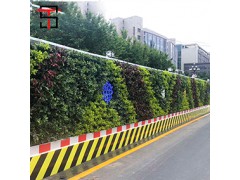 绿植围挡为美化城市穿新衣带来更多惊喜图1