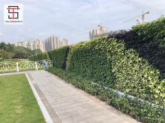 绿植围挡为美化城市穿新衣带来更多惊喜图2