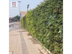 三田绿植围挡让城市更添绿意图2