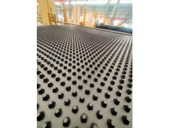 排水板  蓄水板  疏水板华谊孙经理18005384866图1