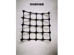 格栅厂家  老客户推荐双向塑料格栅图2