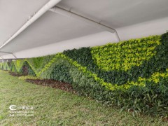 绿植围挡让城市变的更美，有兴趣的来了解一下图1