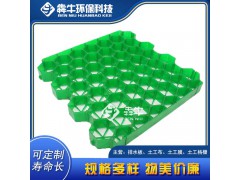 贵港园林绿化植草格规格齐全图3