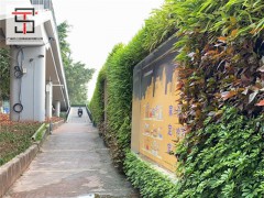 技术分享：三田绿植围挡为城市增添了一抹亮色图1