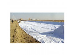 吉林土工膜 土工布吉林现货图1