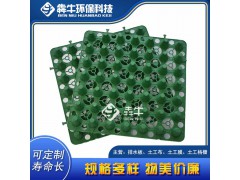 桂林隔水板双面阻根蓄排水板土工布款式新颖图2