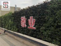 打造适合市政改造围蔽工程需求的绿植围挡图2
