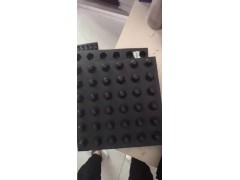 泰安真实厂家排水板图1