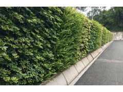 打造适合市政改造围蔽工程需求的绿植围挡图2