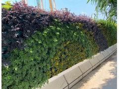 绿植围挡安装流程你真的清楚吗？图1