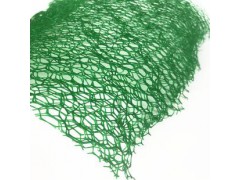 三维植被网 椰丝毯 无纺布 生态袋 植生袋图1