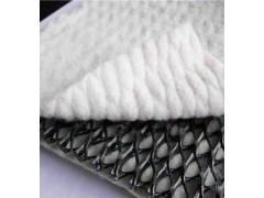 土工席垫 土工滤网 三维复合排水网图2