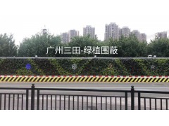 绿植围挡为城市增添活力图2