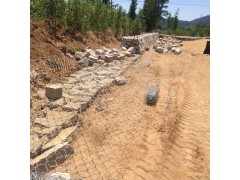 热镀锌+PVC包塑雷诺护垫堤坡加固工程图1