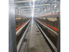 肉鸡笼框架养殖肉鸡笼大型养殖场笼养设备图1