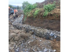 格宾网护砌形式  护岸格宾网施工  厂家图1