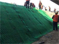 厂家防洪格宾网挡墙_镀锌pvc格宾网价格图3