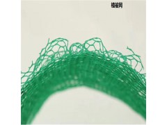 源头厂家供应 三维植被网图1