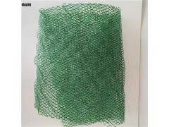 源头厂家供应 三维植被网图2
