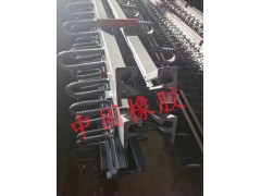 梳齿型桥梁伸缩缝装置的组成图1