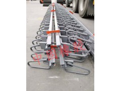 C型伸缩缝A80型桥梁伸缩缝A板式橡胶伸缩缝图2