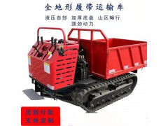 畅销的全地形运输车厂家图1