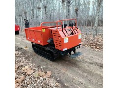 畅销的全地形运输车厂家图2