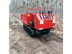 畅销的全地形运输车厂家图3