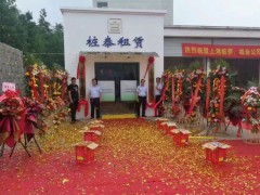 长三角拉森钢板桩租赁图2