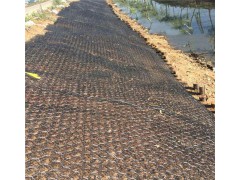 成都河道护坡绿色200克加筋麦克垫施工图2