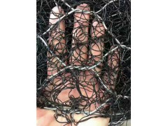 成都河道护坡绿色200克加筋麦克垫施工图3