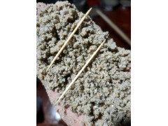 广东徐闻海沙图2