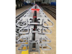 公路桥梁伸缩缝F型 C型E型160型梳齿板伸缩缝图3