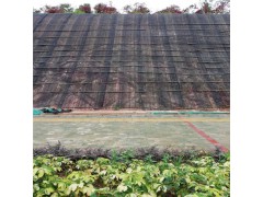 2.0锌铝合金丝加筋麦克垫VS2.0镀高尔凡加筋麦克垫图3