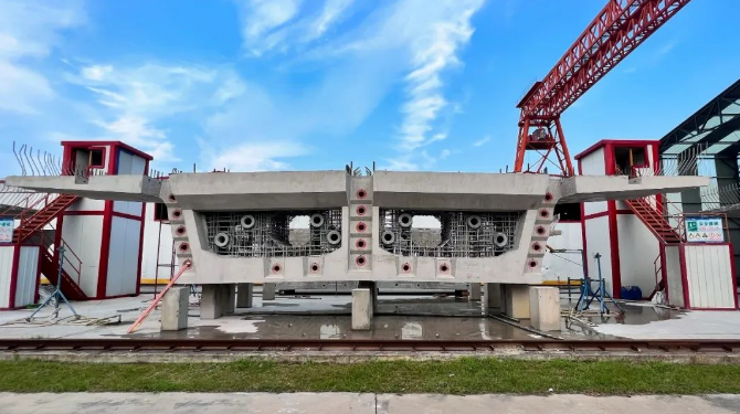 微信截图_20230509082424