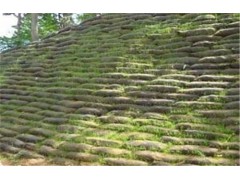 草籽生态袋护坡/植生袋厂家图5