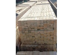 钢筋木方模板保温防水涂料图1